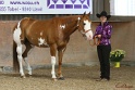 23-APHA SS_066
